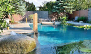 High-Tech-Clean-Teich-Brunnen-Cleaner-Beschreibung-01