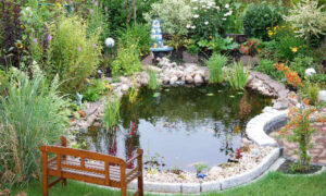 High-Tech-Clean-Teich-Brunnen-Cleaner-Beschreibung-03