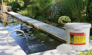 High-Tech-Clean-Teich-Brunnen-Cleaner-Beschreibung-04